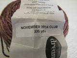 Dream Everlasting Luxurious Handpainted 12Ply DK Yarn Brown 1 Ball 275 Yards -- New