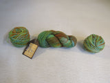Araucania Natural Wool Chunky Multy Yarn 2 Balls 1 Skein 132 Yards Each -- New