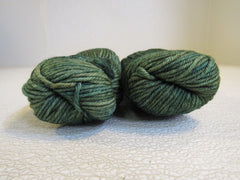 Malabrigo Rios Yarn Fresco Y Seco 2 Skeins 210 Yards Each Green -- New