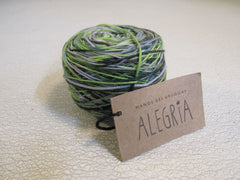 Manos Del Uruguay Alegria Yarn Botanico 1 Ball 445 Yards Green/Blue/Gray -- New