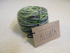 Manos Del Uruguay Alegria Yarn Botanico 1 Ball 445 Yards Green/Blue/Gray -- New