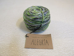 Manos Del Uruguay Alegria Yarn Botanico 1 Ball 445 Yards Green/Blue/Gray -- New