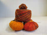 Lisa Souza BFL Sock Yarn Aww-tum 2 Skeins 1 Ball 465 Yards Each 100% Wool -- New