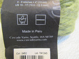 Cascade Yarns Magnum Yarn Sage Green 1 Skein 123 Yards -- New