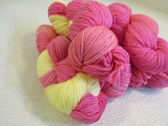 Ivy Brambles Superwash Worsted Yarn Tulips 5 Skeins 250 Yards Each Pink/Yellow -- New