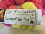 Ivy Brambles Superwash Worsted Yarn Tulips 5 Skeins 250 Yards Each Pink/Yellow -- New