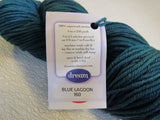 Dream in Color Classy Worsted Weight Yarn Blue Lagoon 1 Skein 250 Yards -- New