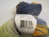 Classic Elite Yarns Liberty Wool Light Yarn Kit 2 Balls 200 Yards Each -- New