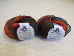 Schoppel Wolle Reggae Ombre Yarn Ombre 2 Balls 109 Yards Each -- New