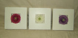 Gerber Decorative Wall Frames Lot of 3