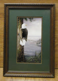Saunders Framed Art Bald Eagle 11in x 15 1/2in Wood Glass Paper -- Used