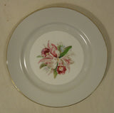 Noritake Margarita 5049 Vintage 10in Dinner Plate China Gold Rim -- Used