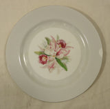 Noritake 5049 Vintage Salad Plate 7 1/2in China Gold Rim Chipped -- Used