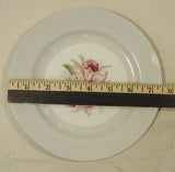 Noritake 5049 Vintage Salad Plate 7 1/2in China Gold Rim Chipped -- Used