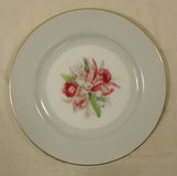 Noritake 5049 Vintage Bread & Butter Plate 6 1/2in China Gold Rim -- Used