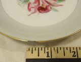 Noritake 5049 Vintage Tea Cup & Saucer Chipped 5 1/2in x 5 1/2in x 3in China Gold Rim -- Used