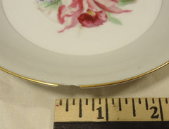 Noritake 5049 Vintage Tea Cup & Saucer Chipped 5 1/2in x 5 1/2in x 3in China Gold Rim -- Used