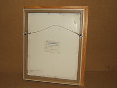 VandePoll Picture Frame Birdhouse 19in x 16in x 3in Whitewash/Beiges Folk -- Used