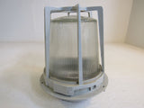 Appleton Electric Caged Outdoor Light Fixture 10in x 8in Gray/White Metal -- Used