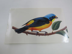 USPS Scott UX293 20c Antillean Euphonia Postal Card Tropical Birds -- New