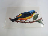 USPS Scott UX293 20c Antillean Euphonia Postal Card Tropical Birds -- New