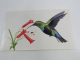 USPS Scott UX294 20c Green Throated Carib Humming Bird Postal Card -- New