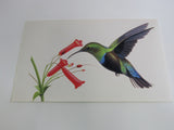 USPS Scott UX294 20c Green Throated Carib Humming Bird Postal Card -- New