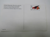 USPS Scott UX296 20c Cardinal Honeyeater Postal Card Tropical Birds -- New