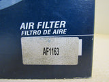 Hastings Air Filter Panel Element Premium Filters AF1163 -- New