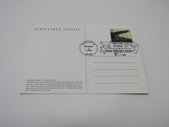 USPS Scott UX266 Vintage 20c American Crocodile Endangered Species Postal Card -- New