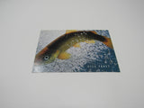 USPS Scott UX268 Vintage 20c Gila Trout Endangered Species First Day of Issue -- New