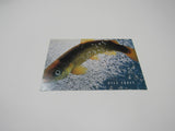 USPS Scott UX268 Vintage 20c Gila Trout Endangered Species First Day of Issue -- New