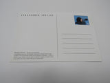 USPS Scott UX277 Vintage 20c Hawaiian Monk Seal Postal Card Endangered Species -- New