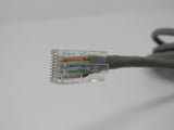 Standard Ethernet Patch Cable RJ-45 10 ft Cat5e -- Used