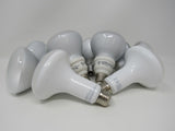 Earth Bulb/Philips/GE 10 LED Incandescent Light Bulbs White Glass -- Used