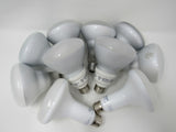 Earth Bulb/Philips/GE 10 LED Incandescent Light Bulbs White Glass -- Used