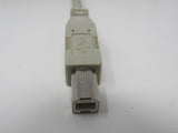 Standard USB A Plug to USB B Plug Cable 55 Inches Male -- New