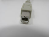 Standard USB A Plug to USB B Plug Cable 55 Inches Male -- New