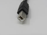 Standard USB A Plug to USB B Plug Cable 6 ft Male -- Used