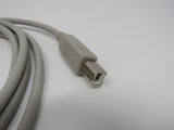 Standard USB A Plug to USB B Plug Cable 5.5 ft -- New