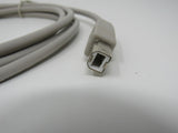 Standard USB A Plug to USB B Plug Cable 5.5 ft -- New