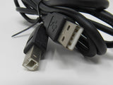 Standard USB A Plug to USB B Plug Cable 5.5 ft Male -- Used