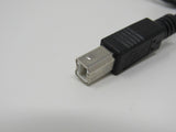 Standard USB A Plug to USB B Plug Cable 55 Inches -- Used