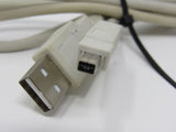 Standard USB A Plug to USB B Plug Cable 3 ft Male -- Used