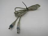 Standard Firewire Type 1 Plug to Type 2 Plug Cable 6 ft -- Used