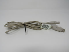 Standard USB A Plug to USB B Plug Cable 5.5 ft Male -- Used