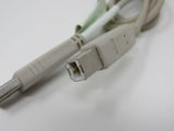 Standard USB A Plug to USB B Plug Cable 5.5 ft Male -- Used