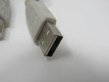Standard USB A Plug to USB B Plug Cable 5.5 ft Male -- Used