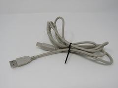 Standard USB A Plug to USB B Plug Cable 5.5 ft Male -- Used