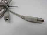 Standard USB A Plug to USB B Plug Cable 5.5 ft Male -- Used